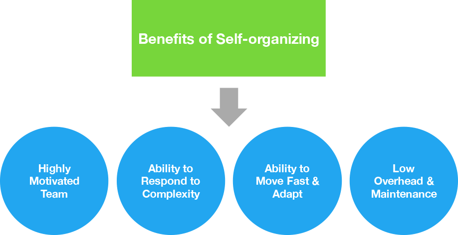 When To Use Self-organizing Teams?